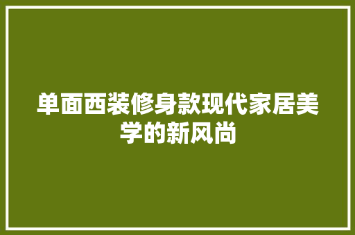 单面西装修身款现代家居美学的新风尚