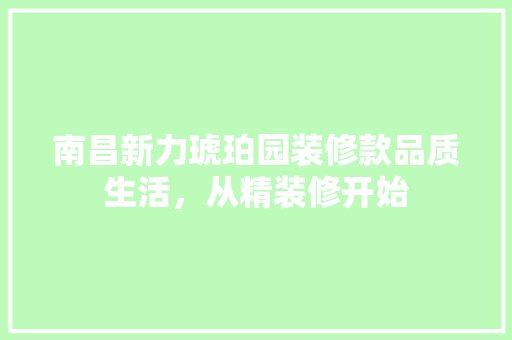南昌新力琥珀园装修款品质生活，从精装修开始