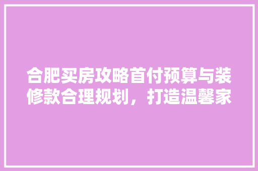 合肥买房攻略首付预算与装修款合理规划，打造温馨家园