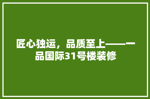 匠心独运，品质至上——一品国际31号楼装修
