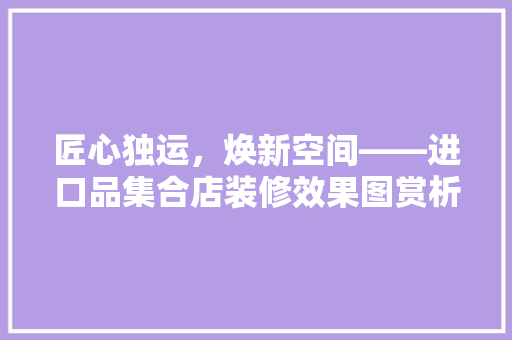 匠心独运，焕新空间——进口品集合店装修效果图赏析