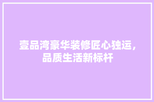 壹品湾豪华装修匠心独运，品质生活新标杆