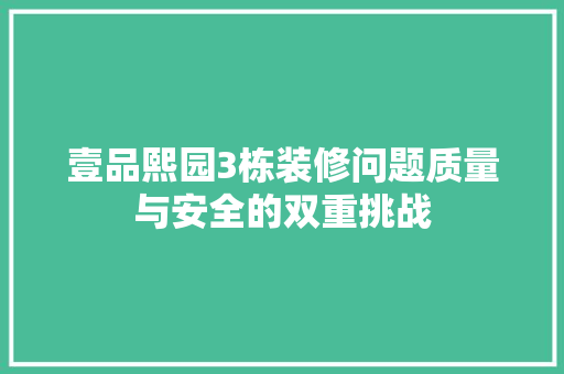 壹品熙园3栋装修问题质量与安全的双重挑战