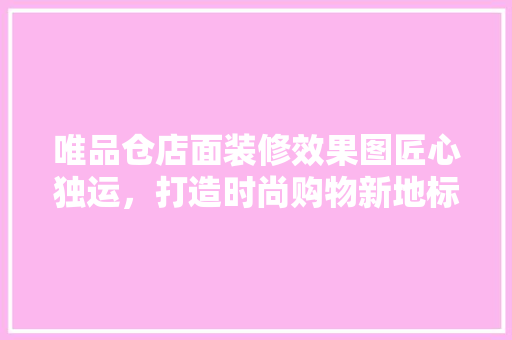 唯品仓店面装修效果图匠心独运，打造时尚购物新地标
