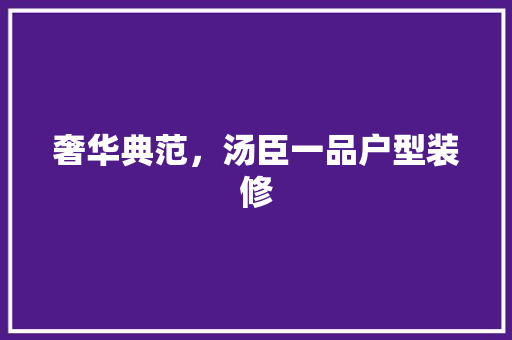 奢华典范，汤臣一品户型装修
