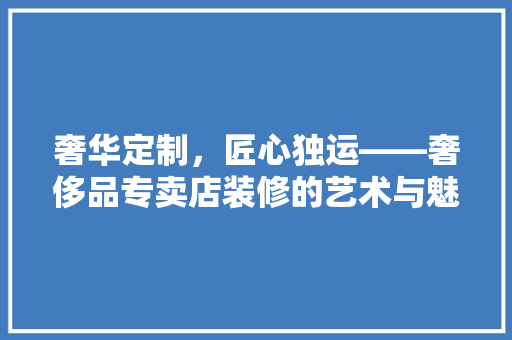 奢华定制，匠心独运——奢侈品专卖店装修的艺术与魅力