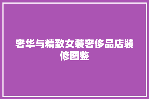 奢华与精致女装奢侈品店装修图鉴