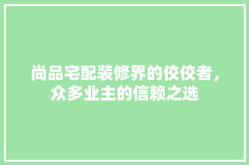 尚品宅配装修界的佼佼者，众多业主的信赖之选