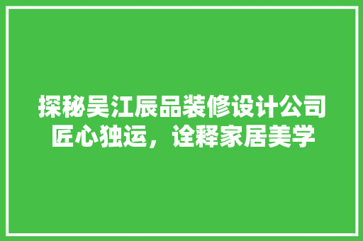 探秘吴江辰品装修设计公司匠心独运，诠释家居美学