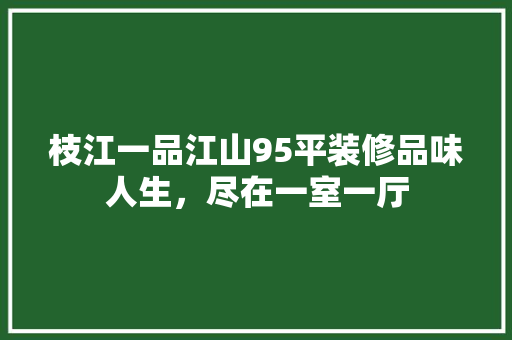 枝江一品江山95平装修品味人生，尽在一室一厅