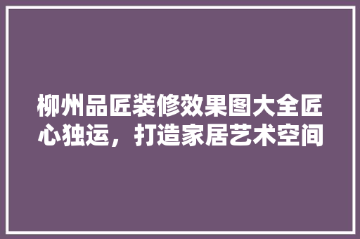 柳州品匠装修效果图大全匠心独运，打造家居艺术空间