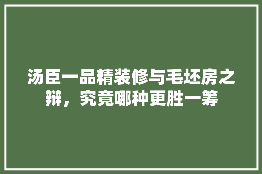 汤臣一品精装修与毛坯房之辩，究竟哪种更胜一筹