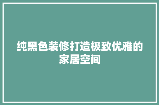 纯黑色装修打造极致优雅的家居空间