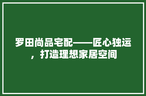 罗田尚品宅配——匠心独运，打造理想家居空间