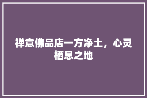 禅意佛品店一方净土，心灵栖息之地