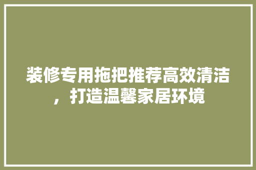 装修专用拖把推荐高效清洁，打造温馨家居环境