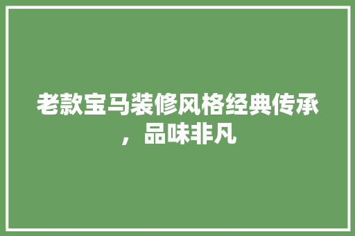 老款宝马装修风格经典传承，品味非凡