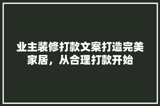 业主装修打款文案打造完美家居，从合理打款开始