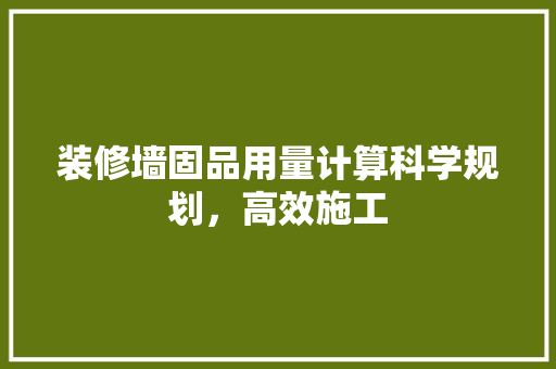 装修墙固品用量计算科学规划，高效施工