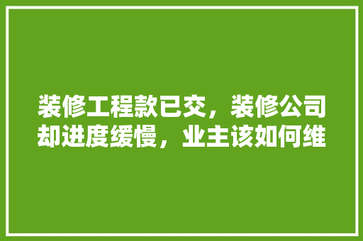 装修工程款已交，装修公司却进度缓慢，业主该如何维权