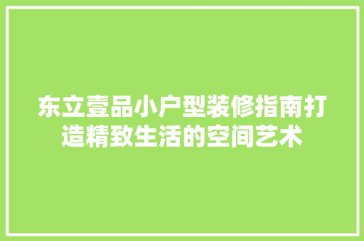 东立壹品小户型装修指南打造精致生活的空间艺术