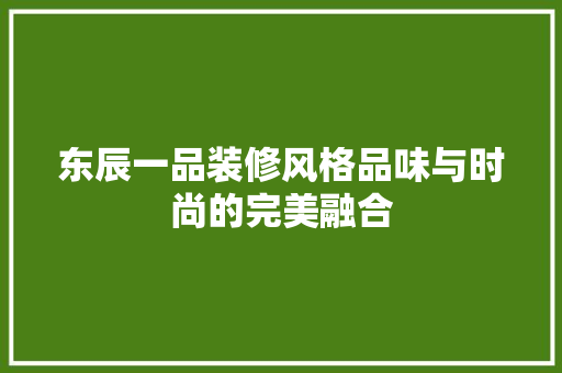 东辰一品装修风格品味与时尚的完美融合