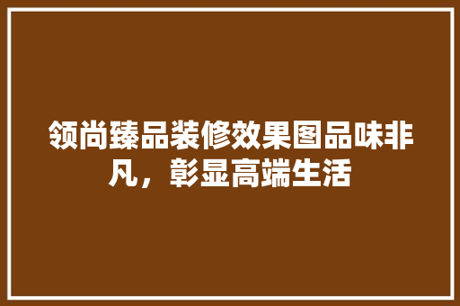 领尚臻品装修效果图品味非凡，彰显高端生活