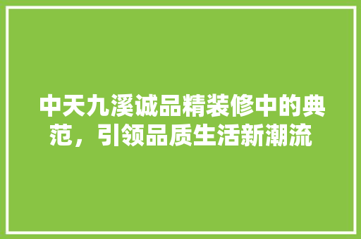 中天九溪诚品精装修中的典范，引领品质生活新潮流