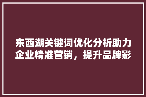 东西湖关键词优化分析助力企业精准营销,提升品牌影响力 东西湖关键词优化分析助力企业精准营销,提升品牌影响力