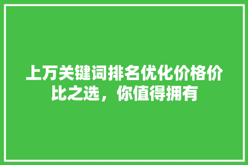 上万关键词排名优化价格价比之选，你值得拥有