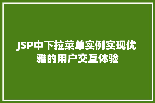 JSP中下拉菜单实例实现优雅的用户交互体验