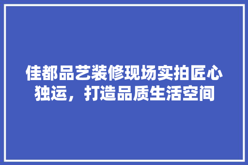 佳都品艺装修现场实拍匠心独运，打造品质生活空间