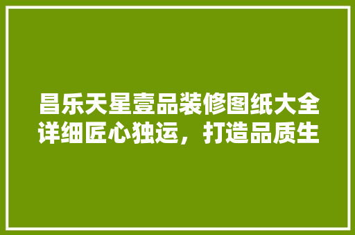 昌乐天星壹品装修图纸大全详细匠心独运，打造品质生活空间