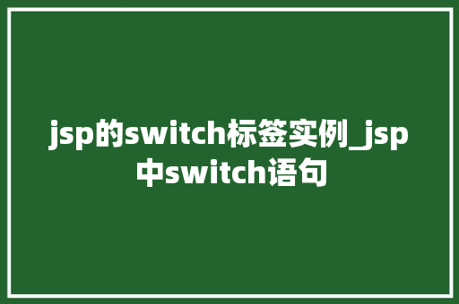jsp的switch标签实例_jsp中switch语句